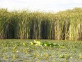 /album/fenykepgaleria/p1280153-jpg/