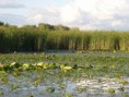 /album/fenykepgaleria/p1280154-jpg/